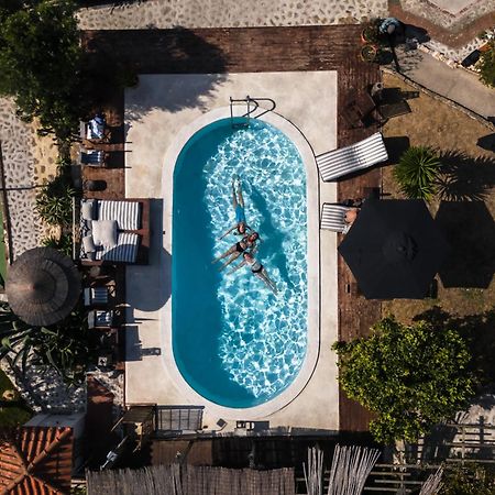 Joao Jungle Apartment Acafora ภายนอก รูปภาพ