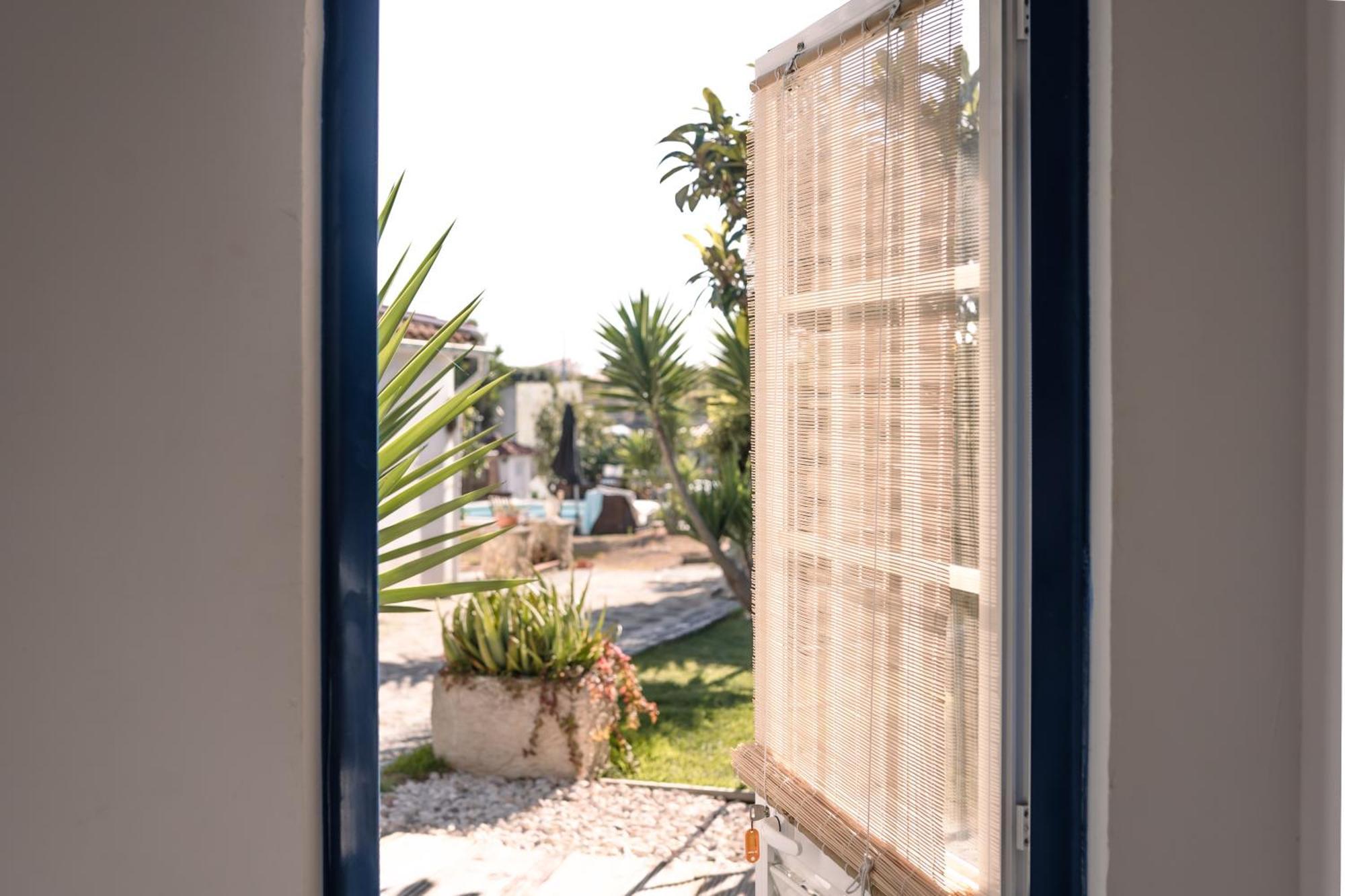 Joao Jungle Apartment Acafora ภายนอก รูปภาพ