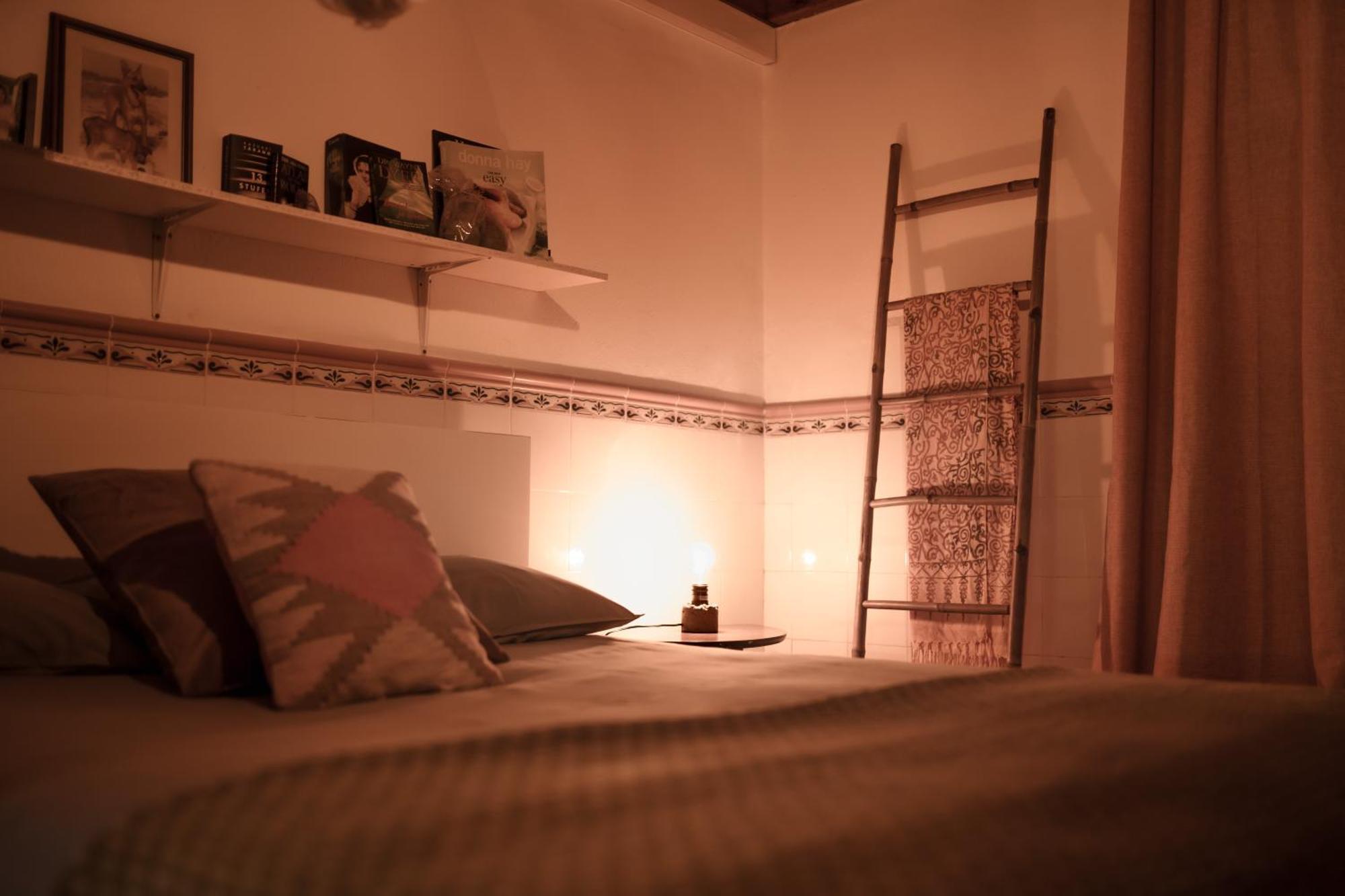 Joao Jungle Apartment Acafora ภายนอก รูปภาพ