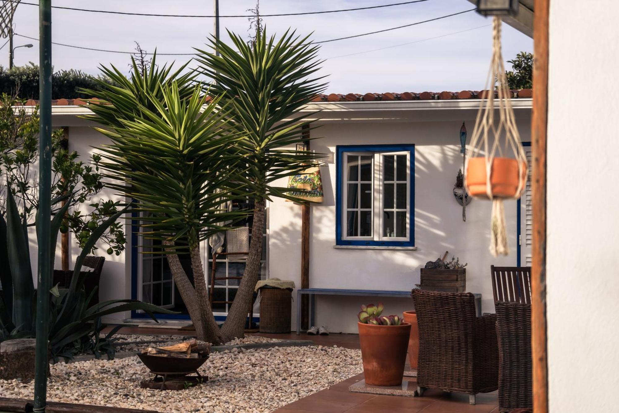 Joao Jungle Apartment Acafora ภายนอก รูปภาพ