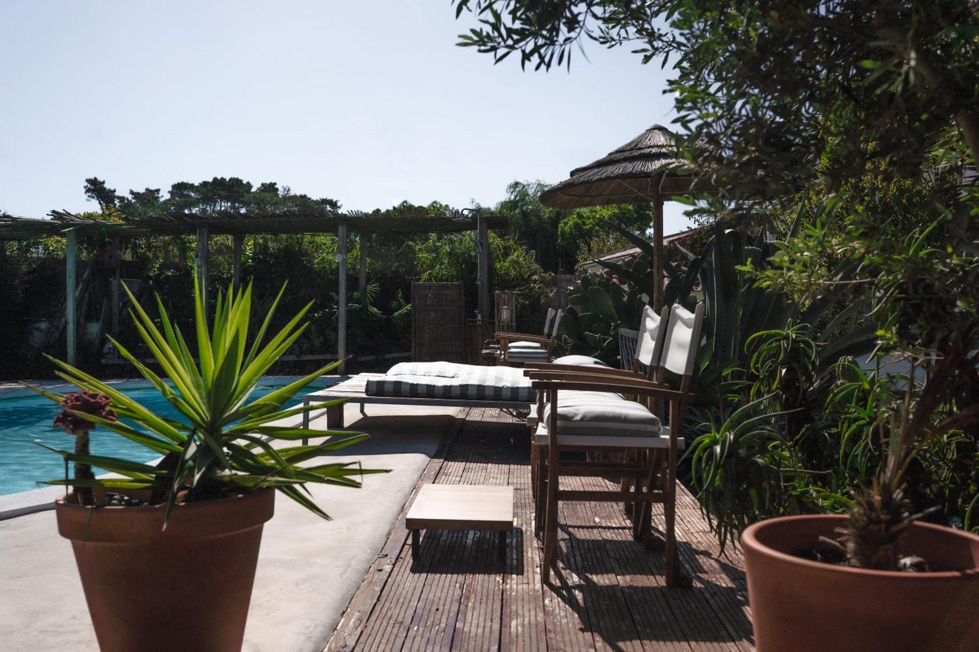 Joao Jungle Apartment Acafora ภายนอก รูปภาพ
